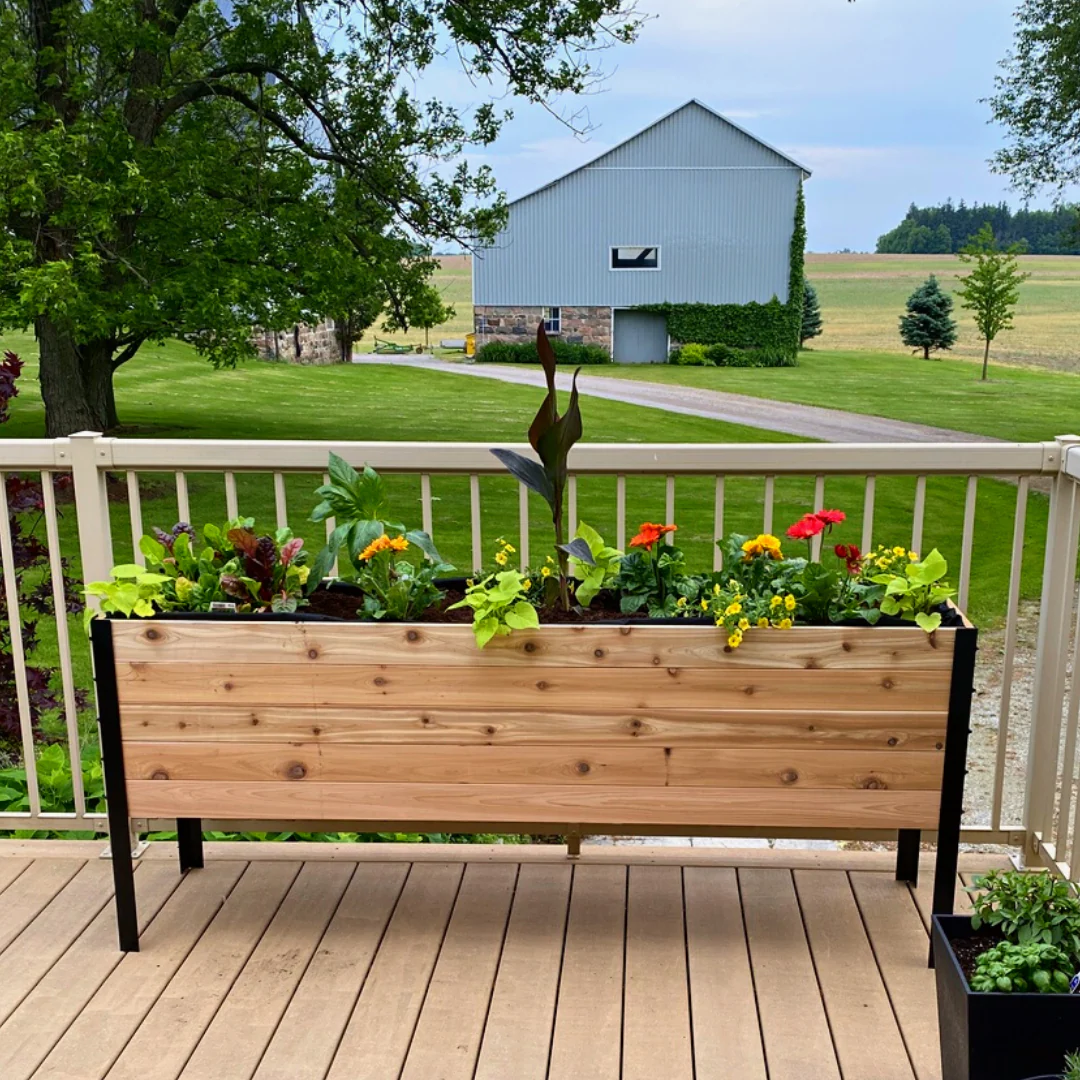 18" x 72" Raised Garden Bed - 30" TALL / Select Grade - Image 9