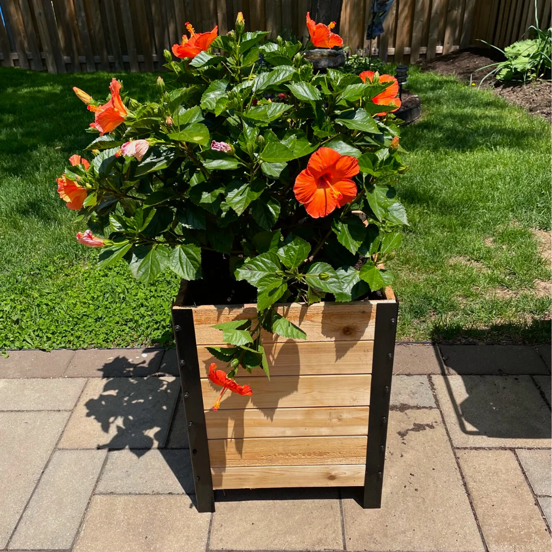 18" x 18" Planter Box - 24" TALL / Garden Grade - Image 10