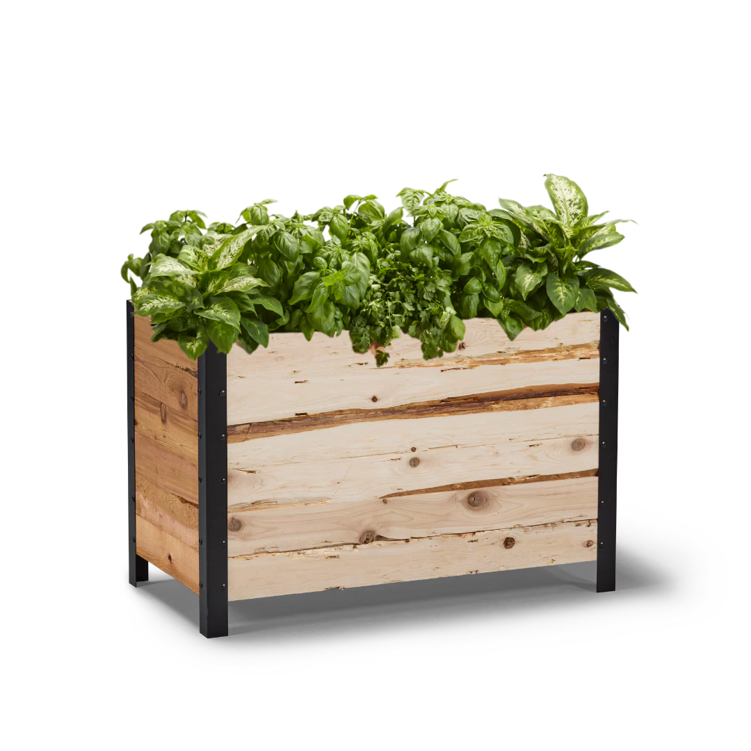 18" x 36" Planter Box - 24" TALL / Garden Grade