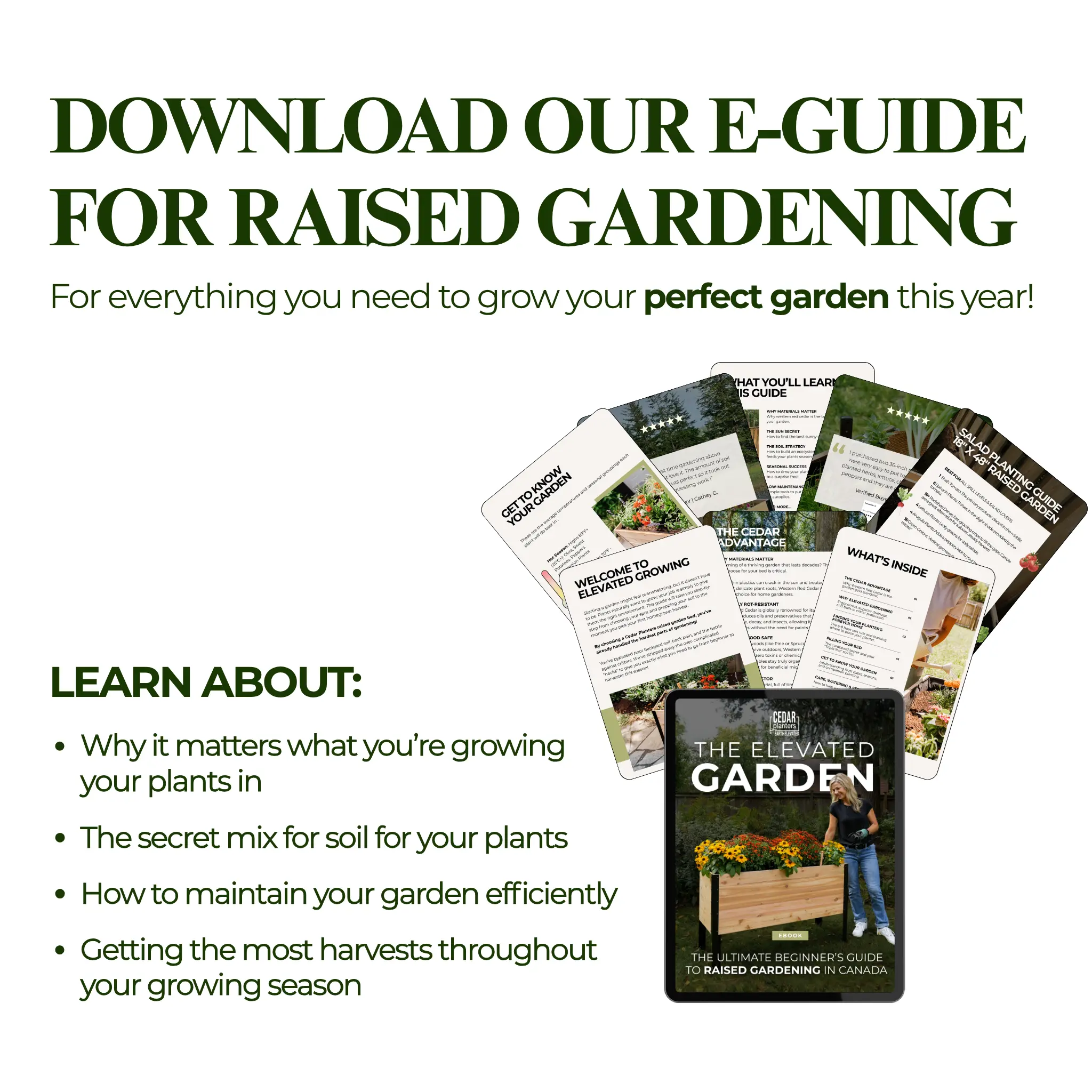 E-Book: Beginner's Guide to Raised Gardening In Canada - Image 3