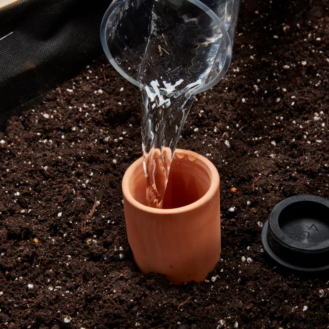 Self-Watering Clay Olla Pot - Image 15