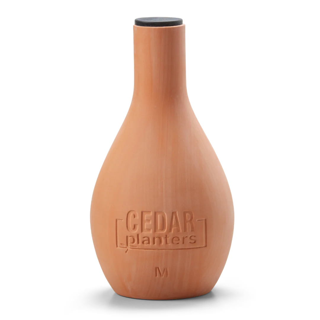 Self-Watering Clay Olla Pot - Image 7