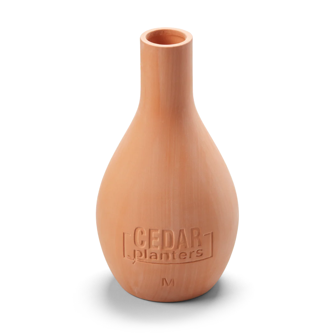 Self-Watering Clay Olla Pot - Image 8