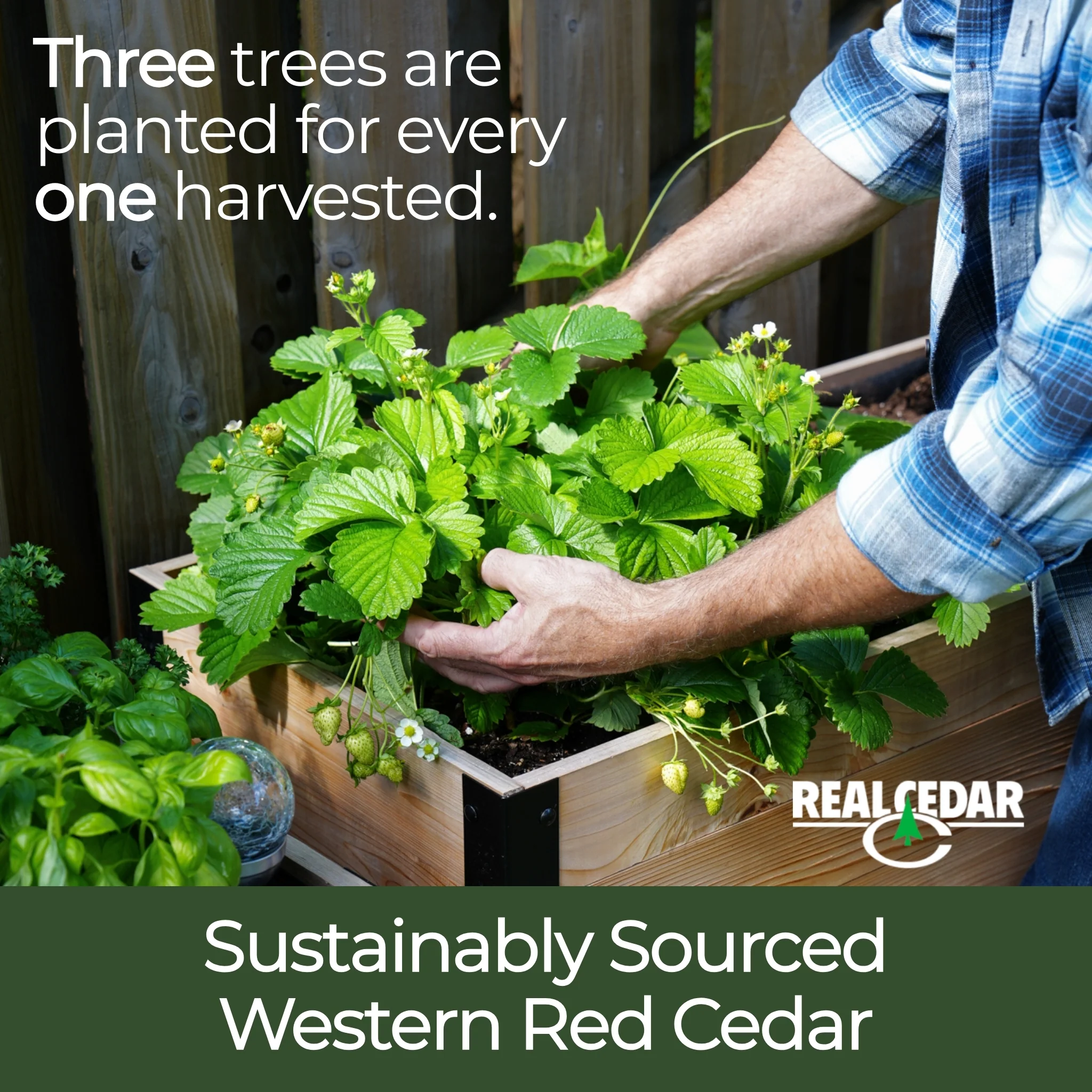 The Garden Success Kit - Image 10