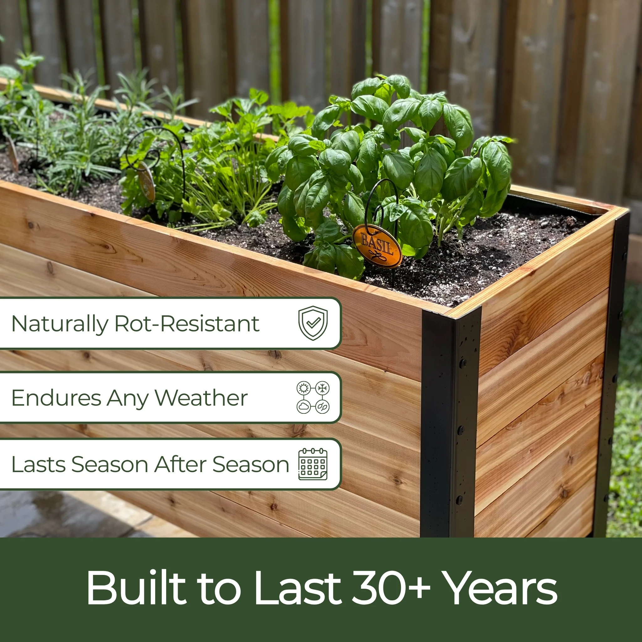 The Garden Success Kit - Image 5
